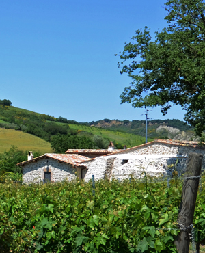 Azienda Bottaccio - Storia